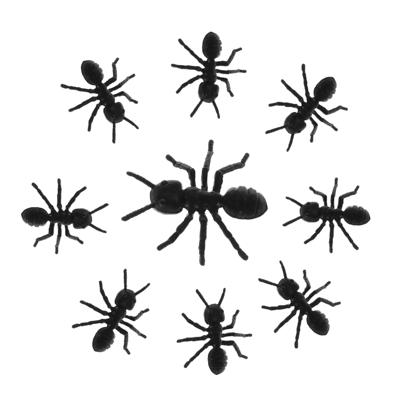 Sådan slipper du af med myrer i dit hjem med myrelokkedåser